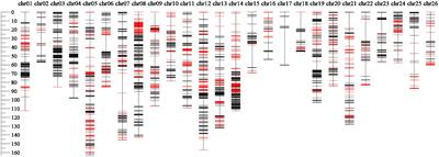 GWAS Analysis and QTL Identification of Fiber Quality Traits and Yield Components in Upland Cotton Using Enriched High-Density SNP Markers